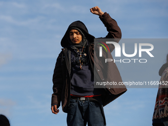 An Indigenous demonstrator stands atop a horse trailer near the U.S. Capitol in Washington, D.C. on October 15, 2024 after U.S. Park Police...