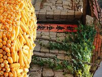 Farmers dry corn in the West Coast New Area of Qingdao, East China's Shandong province, in Qingdao, China, on October 15, 2024. (