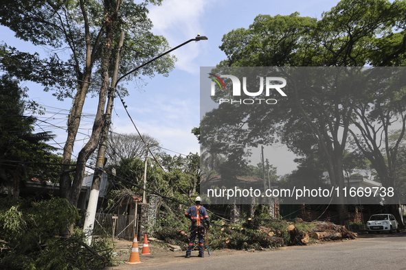 Workers from the City Hall of Sao Paulo and Enel, an electricity distributor and trader, prune a tree that has branches knocked down by stro...