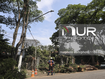 Workers from the City Hall of Sao Paulo and Enel, an electricity distributor and trader, prune a tree that has branches knocked down by stro...