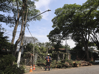 Workers from the City Hall of Sao Paulo and Enel, an electricity distributor and trader, prune a tree that has branches knocked down by stro...