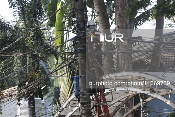 Workers from the City Hall of Sao Paulo and Enel, an electricity distributor and trader, prune a tree that has branches knocked down by stro...