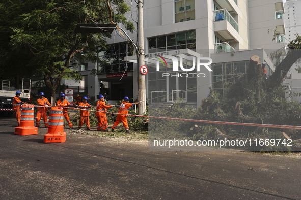 Workers from the City Hall of Sao Paulo and Enel, an electricity distributor and trader, prune a tree that has branches knocked down by stro...