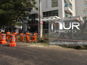 Workers from the City Hall of Sao Paulo and Enel, an electricity distributor and trader, prune a tree that has branches knocked down by stro...