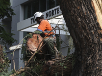 Workers from the City Hall of Sao Paulo and Enel, an electricity distributor and trader, prune a tree that has branches knocked down by stro...