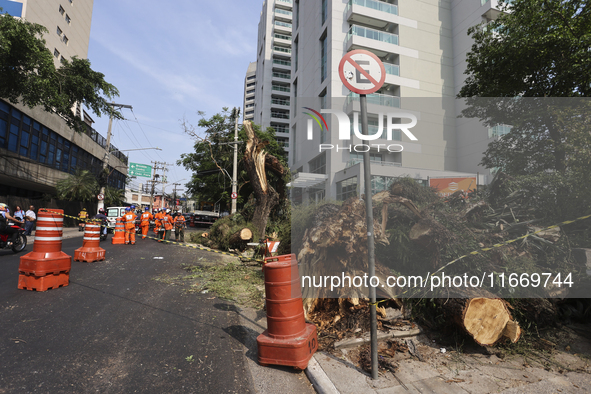 Workers from the City Hall of Sao Paulo and Enel, an electricity distributor and trader, prune a tree that has branches knocked down by stro...