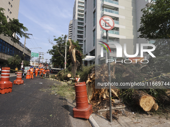 Workers from the City Hall of Sao Paulo and Enel, an electricity distributor and trader, prune a tree that has branches knocked down by stro...