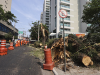 Workers from the City Hall of Sao Paulo and Enel, an electricity distributor and trader, prune a tree that has branches knocked down by stro...