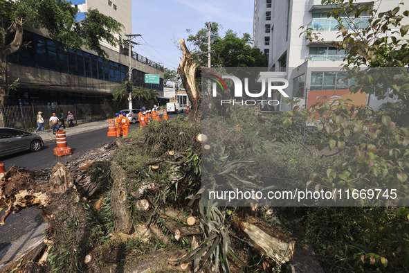 Workers from the City Hall of Sao Paulo and Enel, an electricity distributor and trader, prune a tree that has branches knocked down by stro...