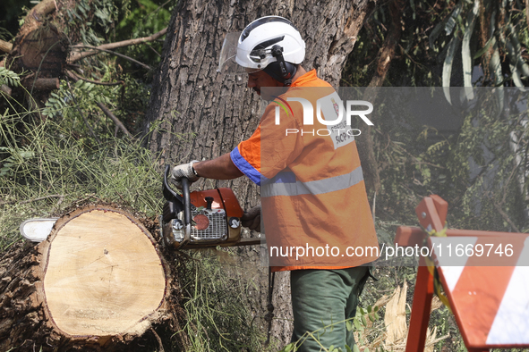 Workers from the City Hall of Sao Paulo and Enel, an electricity distributor and trader, prune a tree that has branches knocked down by stro...