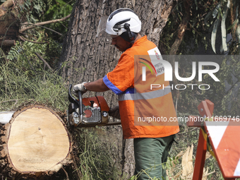 Workers from the City Hall of Sao Paulo and Enel, an electricity distributor and trader, prune a tree that has branches knocked down by stro...