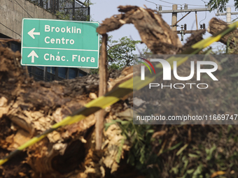 Workers from the City Hall of Sao Paulo and Enel, an electricity distributor and trader, prune a tree that has branches knocked down by stro...