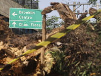 Workers from the City Hall of Sao Paulo and Enel, an electricity distributor and trader, prune a tree that has branches knocked down by stro...