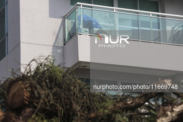 Workers from the City Hall of Sao Paulo and Enel, an electricity distributor and trader, prune a tree that has branches knocked down by stro...