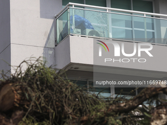 Workers from the City Hall of Sao Paulo and Enel, an electricity distributor and trader, prune a tree that has branches knocked down by stro...