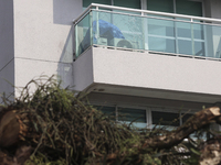 Workers from the City Hall of Sao Paulo and Enel, an electricity distributor and trader, prune a tree that has branches knocked down by stro...