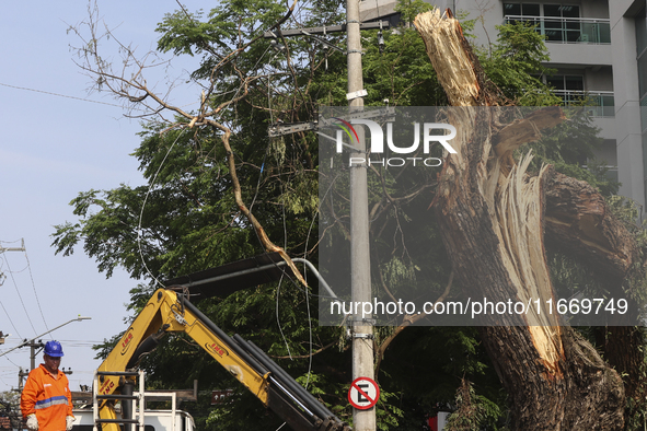 Workers from the City Hall of Sao Paulo and Enel, an electricity distributor and trader, prune a tree that has branches knocked down by stro...