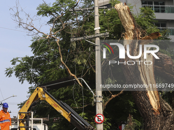 Workers from the City Hall of Sao Paulo and Enel, an electricity distributor and trader, prune a tree that has branches knocked down by stro...