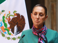 President of Mexico, Claudia Sheinbaum Pardo, speaks during a press conference after the High Level Summit between U.S. and Mexican business...