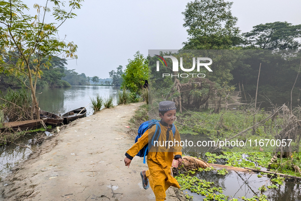 Children go to school in the early morning in a rural area in Feni, Bangladesh, on October 16, 2024. Many fish enclosures and ponds are wash...