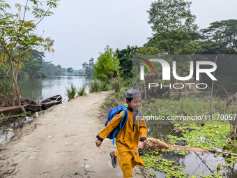 Children go to school in the early morning in a rural area in Feni, Bangladesh, on October 16, 2024. Many fish enclosures and ponds are wash...