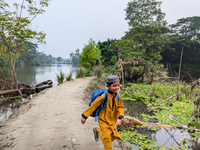 Children go to school in the early morning in a rural area in Feni, Bangladesh, on October 16, 2024. Many fish enclosures and ponds are wash...