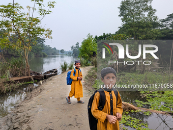 Children go to school in the early morning in a rural area in Feni, Bangladesh, on October 16, 2024. Many fish enclosures and ponds are wash...