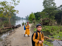 Children go to school in the early morning in a rural area in Feni, Bangladesh, on October 16, 2024. Many fish enclosures and ponds are wash...