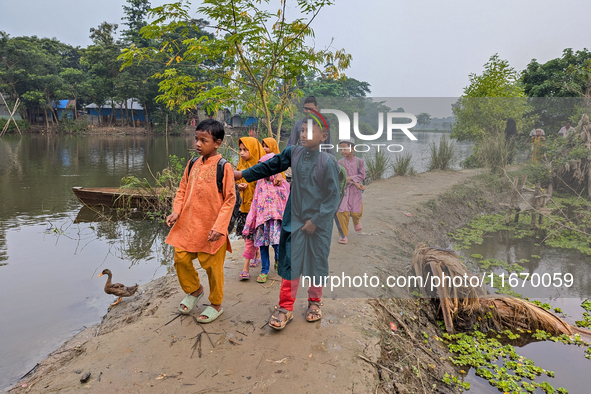 Children go to school in the early morning in a rural area in Feni, Bangladesh, on October 16, 2024. Many fish enclosures and ponds are wash...