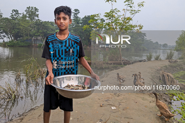 A child sells fish in the early morning in a rural area in Feni, Bangladesh, on October 16, 2024. Many fish enclosures and ponds are washed...