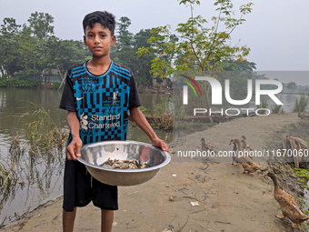 A child sells fish in the early morning in a rural area in Feni, Bangladesh, on October 16, 2024. Many fish enclosures and ponds are washed...