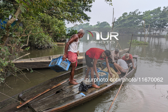 Fishermen go to sell fish in a rural market in a rural area in Feni, Bangladesh, on October 16, 2024. Many fish enclosures and ponds are was...