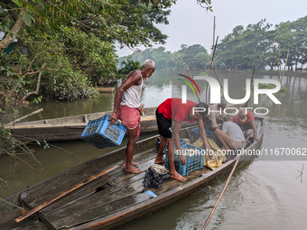 Fishermen go to sell fish in a rural market in a rural area in Feni, Bangladesh, on October 16, 2024. Many fish enclosures and ponds are was...