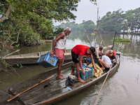 Fishermen go to sell fish in a rural market in a rural area in Feni, Bangladesh, on October 16, 2024. Many fish enclosures and ponds are was...