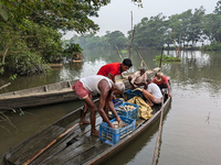 Fishermen go to sell fish in a rural market in a rural area in Feni, Bangladesh, on October 16, 2024. Many fish enclosures and ponds are was...