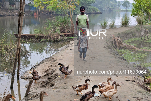 A child walks with his father near the lake in the early morning in a rural area in Feni, Bangladesh, on October 16, 2024. Many fish enclosu...