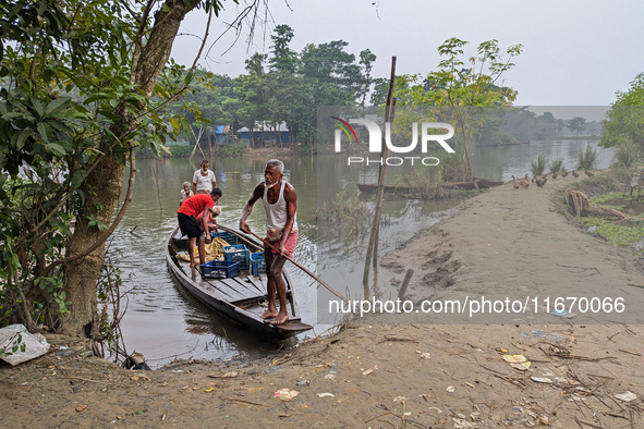 Fishermen go to sell fish in a rural market in a rural area in Feni, Bangladesh, on October 16, 2024. Many fish enclosures and ponds are was...