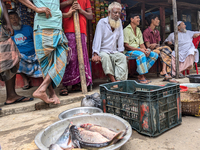 Fishermen sell fish in the early morning in a rural area in Feni, Bangladesh, on October 16, 2024. Many fish enclosures and ponds are washed...