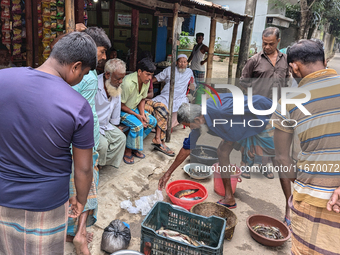 Fishermen sell fish in the early morning in a rural area in Feni, Bangladesh, on October 16, 2024. Many fish enclosures and ponds are washed...