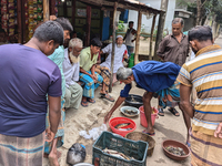 Fishermen sell fish in the early morning in a rural area in Feni, Bangladesh, on October 16, 2024. Many fish enclosures and ponds are washed...