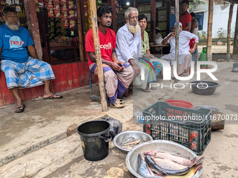 Fishes are kept in a bowl to sell in a rural area in Feni, Bangladesh, on October 16, 2024. Many fish enclosures and ponds are washed away,...