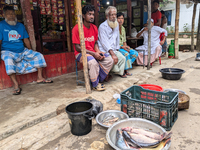 Fishes are kept in a bowl to sell in a rural area in Feni, Bangladesh, on October 16, 2024. Many fish enclosures and ponds are washed away,...