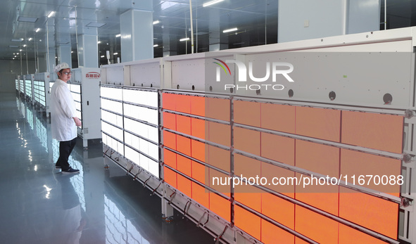 A worker produces an LED display at a workshop in Huai'an City, Jiangsu Province, China, on October 16, 2024. 