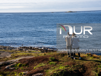 Tourists walk along a scenic pathway near a bridge on the Atlantic Ocean Road in Norway, on September 18, 2024. The Atlantic Road in Norway...