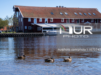 Ducks swim in the sea, in Kristiansand, Norway on September 13, 2024. Kristiansand is a city and municipality in Agder county, Norway. The c...