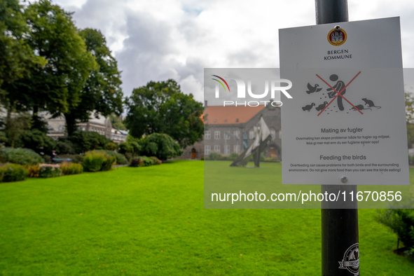 A sign in a park in Bergen, Norway, on September 16, 2024, prohibits feeding the birds, emphasizing the environmental issues caused by overf...