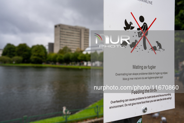 A sign in a park in Bergen, Norway, on September 16, 2024, prohibits feeding the birds, emphasizing the environmental issues caused by overf...