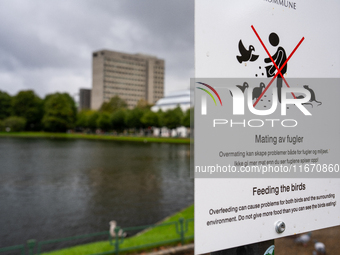 A sign in a park in Bergen, Norway, on September 16, 2024, prohibits feeding the birds, emphasizing the environmental issues caused by overf...