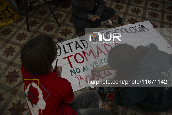 Occupation of the Faculty of Psychology at UBA in Buenos Aires, Argentina, on october 15, 2024. 