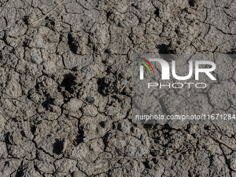 Visible banks, dry soil, and uncultivated vegetation replace the water at Lake Monte Cotugno, a reservoir in Basilicata, which in the summer...